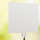 AmazonBasics HDTV Antenna | $13 | Amazon